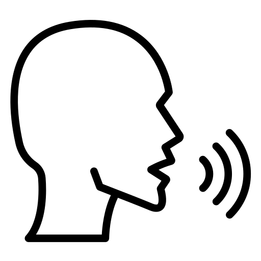 Voice Command Functionality