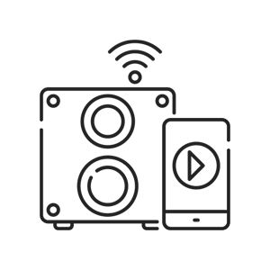 Multi-Room Audio Capability